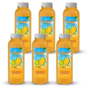 Yummy Seamoss Mango Ginger